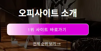 오피사이트 1