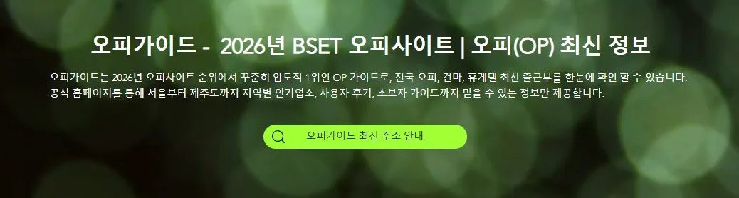 오피가이드 1
